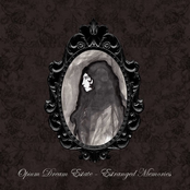 A Raven In The Snow by Opium Dream Estate
