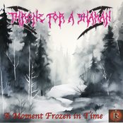 A Moment Frozen in Time