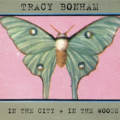 Crazy In Love by Tracy Bonham