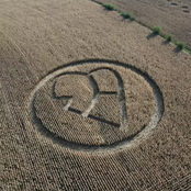 Untitled Compilation