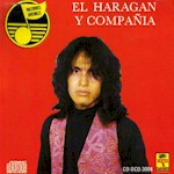 Haragán Y Compañia