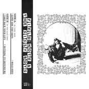 Field Note / The Sissy Boys Split