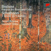 Brahms: Sonatas for Piano and Cello; Schumann: 5 Stücke im Volkston