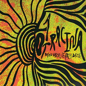 Dawn Haze/Early Daze