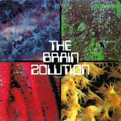 The Brain Solution