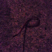 Passed Loves Presents: Obsolete Artifacts