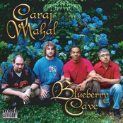 Garaj Mahal: Blueberry Cave