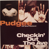 Checkin' Out The Ave. (Vinyl, 12'')