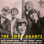 Soul Agents