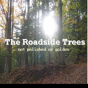 not polished or golden