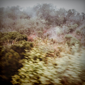 The Virgin and the Archer