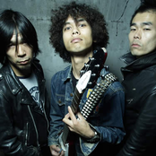 electric eel shock