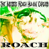 Roach