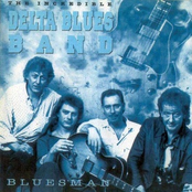 Take Your Hat And Leave by Delta Blues Band