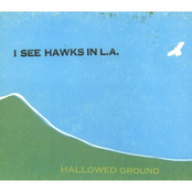Pale And Troubled Race by I See Hawks In L.a.