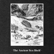 The Ancient Sea Shelf