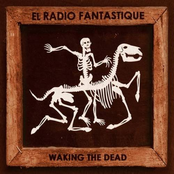 Foolish Times by El Radio Fantastique