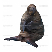 8 Przepięknych Melodii