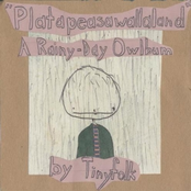 Platapeasawallaland: A Rainy-Day Owlbum