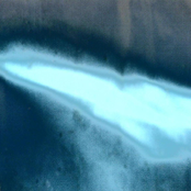 Железнодорожная собака