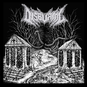 Vermin Void