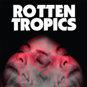 rotten tropics