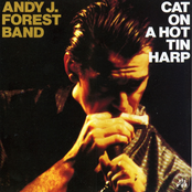 Cat on a Hot Tin Harp