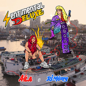 SENTIMENTAL deluxe