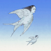 Bird - Single