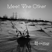 Meet The Other