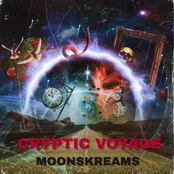 Cryptic Voyage