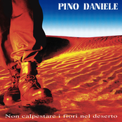 Un Deserto Di Parole by Pino Daniele