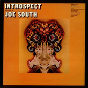 Introspect (Expanded Edition)
