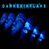 Darkskinflans