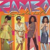 Album cover for Single Life, by Cameo
