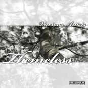VA - Themeless