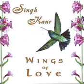 Wings Of Love by Singh Kaur