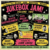 Jukebox Jam! Vol. 2 - Blues and Rhythm Revue