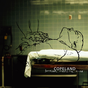 Brightest by Copeland