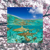 SUICIDE PART V: Nothing Matters