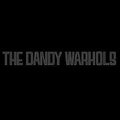 Thanks For The Show by The Dandy Warhols