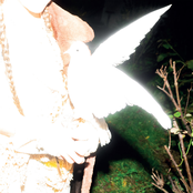 ELISABETH KLINCK - Chronotopia