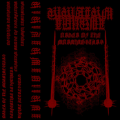 ORDER OF THE MORNINGSTARS