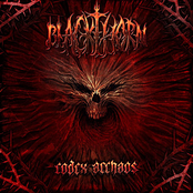 Hexshadow Turned To Flesh by Blackthorn