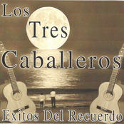 Exitos del Recuerdo