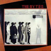 the bytes