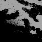 Birds Flying Over Me