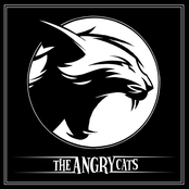 The Angry Cats