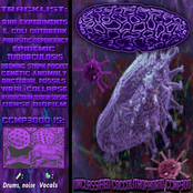 Unclassified Coccolithophorid CCMP300