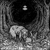 Ash Swamp by In The Company Of Serpents
